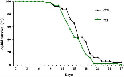 Transcriptome and Metabolome Reprogramming in Tomato Plants by Trichoderma harzianum strain T22 Primes and Enhances Defense Responses Against Aphids